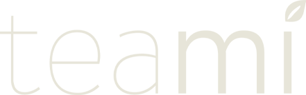 teami-logo-rectangle-2x